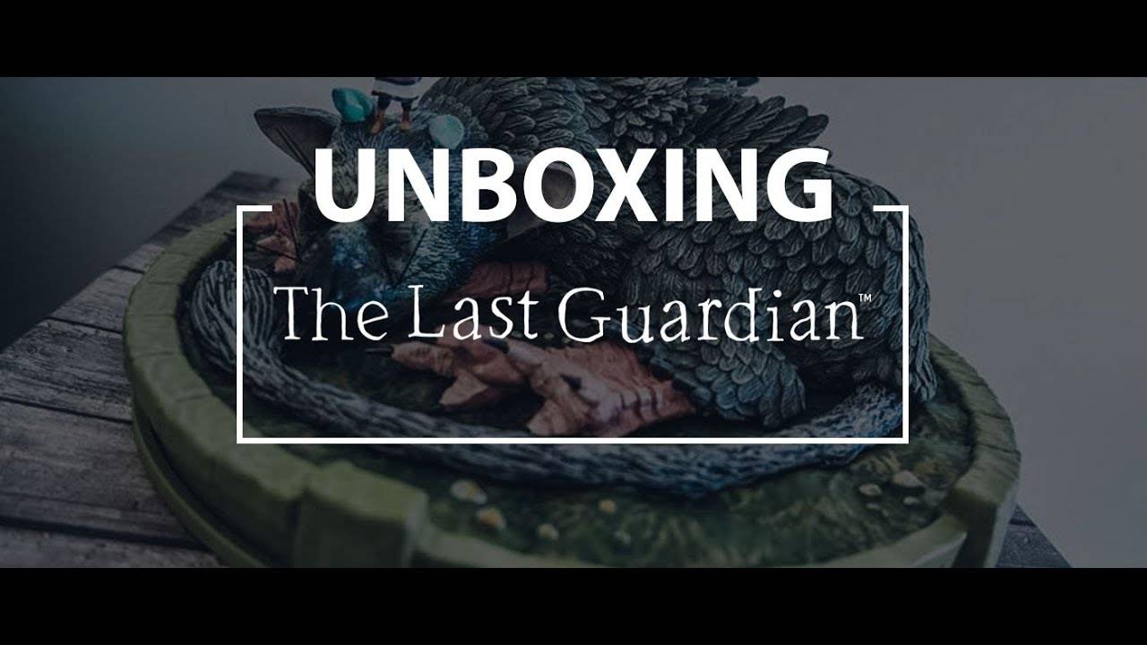 The Last Guardian Collector