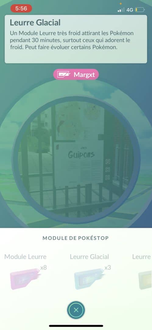 Les évolutions du Pokémon Évoli dans Pokémon GO - Margxt