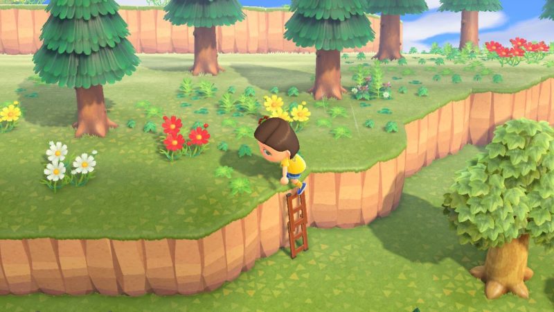 [GUIDE] Obtenir l'échelle dans Animal Crossing New Horizons