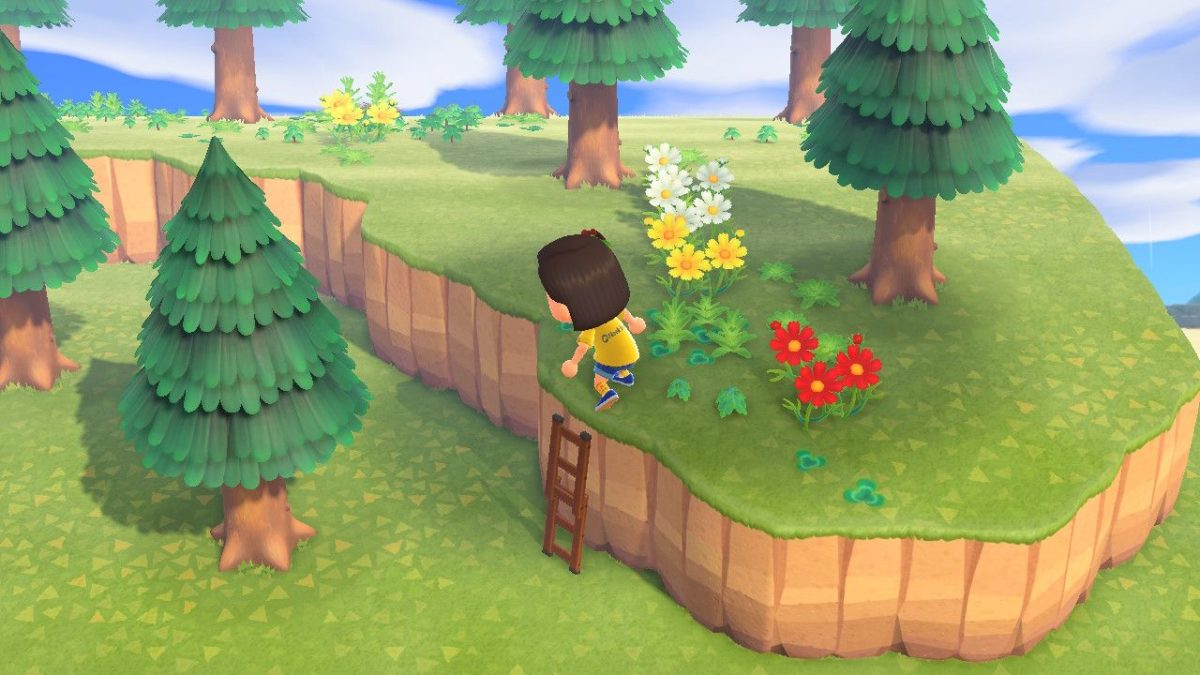 [GUIDE] Obtenir l'échelle dans Animal Crossing New Horizons