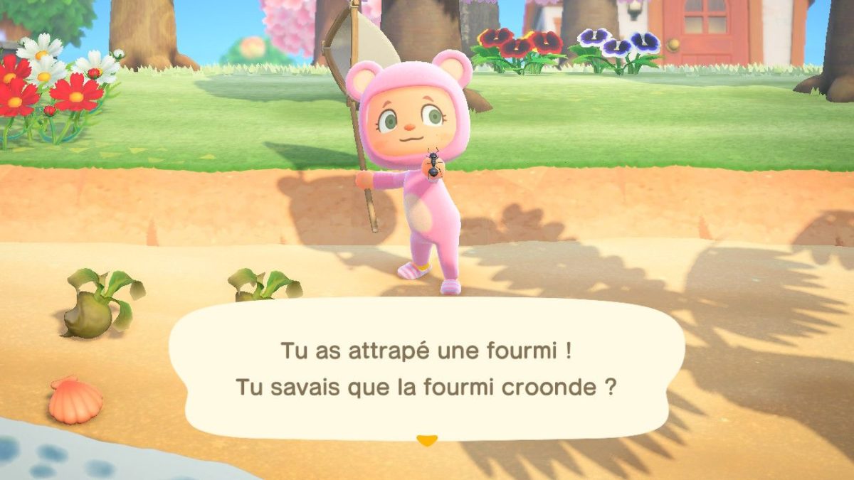 Comment Faire Pour Avoir Les Fourmis Dans Animal Crossing