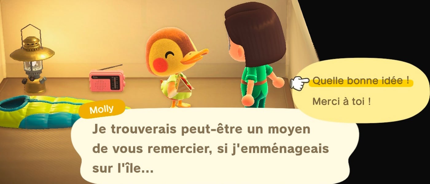 GUIDE] Faire emménager un Amiibo (carte ou figurine) dans Animal Crossing  New Horizons - Margxt