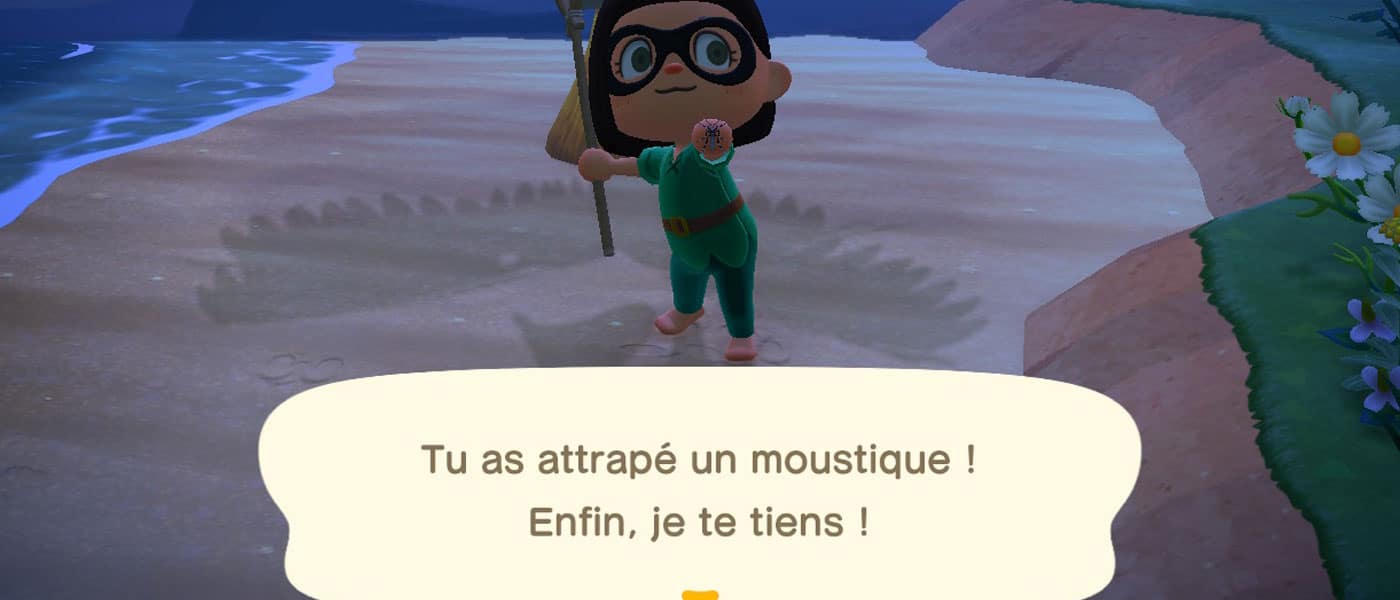 GUIDE] Faire emménager un Amiibo (carte ou figurine) dans Animal Crossing  New Horizons - Margxt