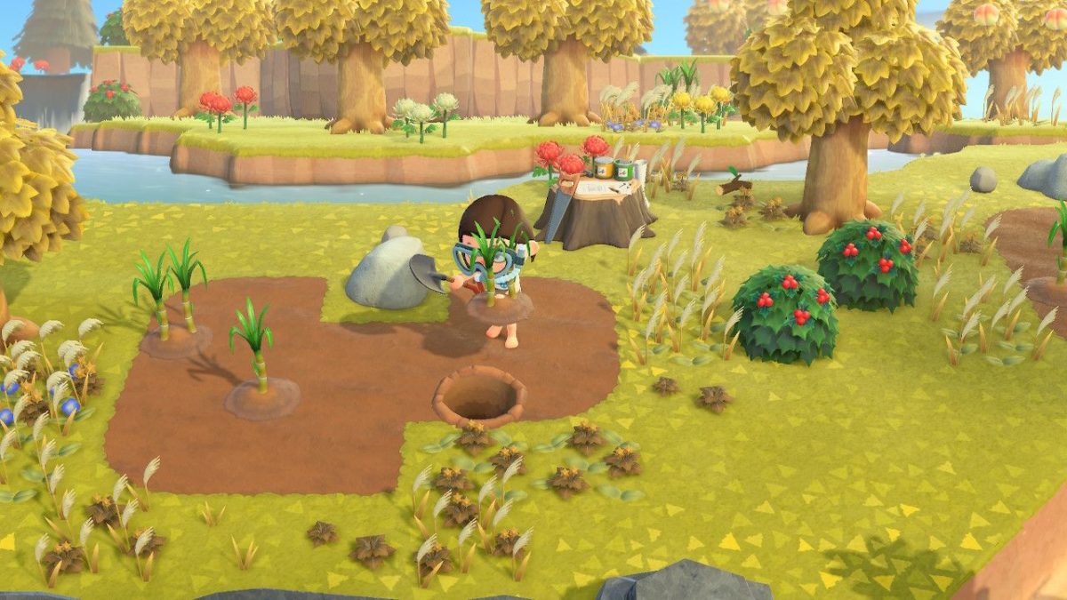 Amiral et les excursions sur les îles désertes dans Animal Crossing New Horizons