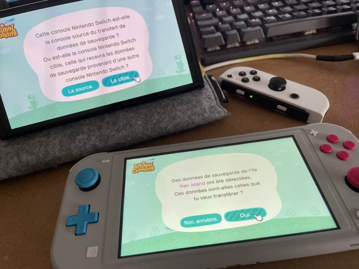 Comment transférer sa sauvegarde Animal Crossing New Horizons d'une console Nintendo  Switch à une autre - Margxt