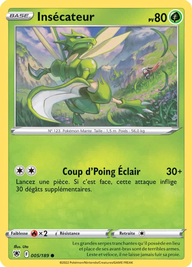 Pokémon Portfolio pour 80 cartes EB10 Astres Radieux A5