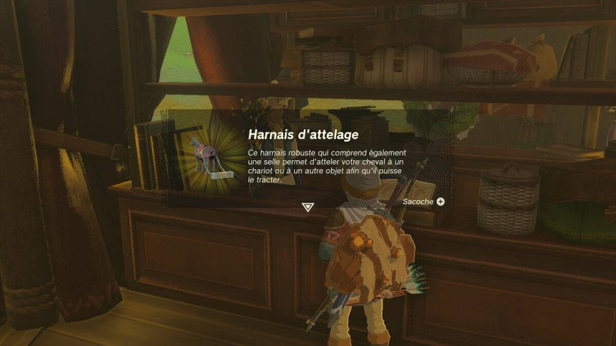Carte, emplacements des fées et comment les débloquer dans Zelda